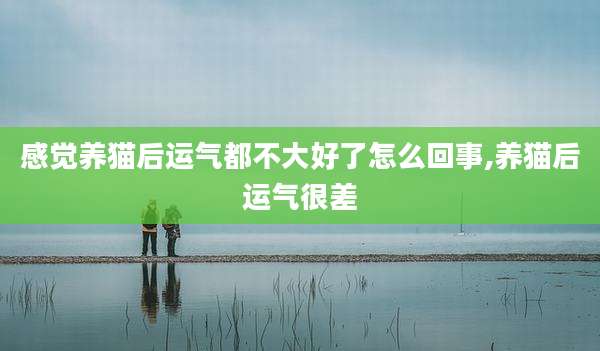 感觉养猫后运气都不大好了怎么回事,养猫后运气很差