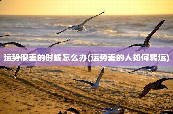 运势很差的时候怎么办(运势差的人如何转运)