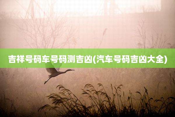 吉祥号码车号码测吉凶(汽车号码吉凶大全)