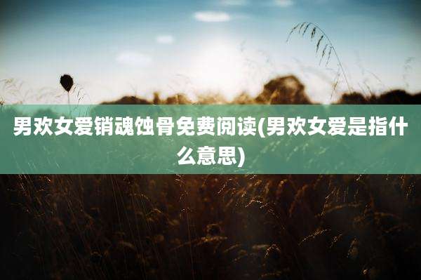 男欢女爱销魂蚀骨免费阅读(男欢女爱是指什么意思)