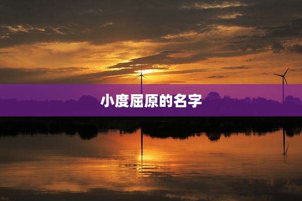 小度屈原的名字