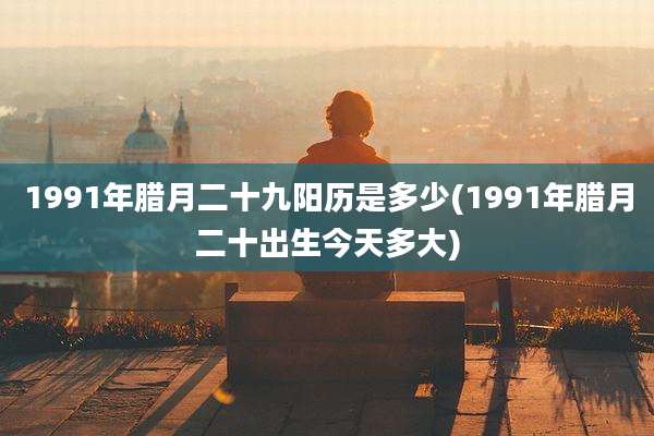 1991年腊月二十九阳历是多少(1991年腊月二十出生今天多大)