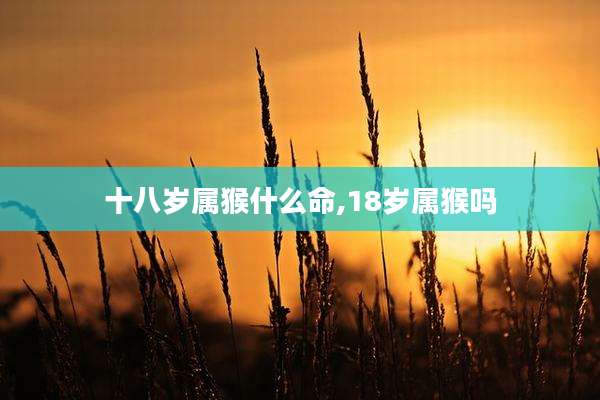 十八岁属猴什么命,18岁属猴吗