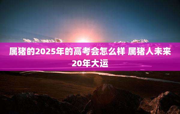 属猪的2025年的高考会怎么样 属猪人未来20年大运