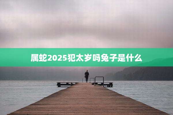 属蛇2025犯太岁吗兔子是什么