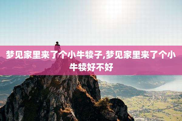 梦见家里来了个小牛犊子,梦见家里来了个小牛犊好不好