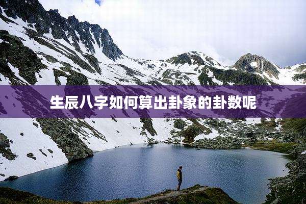 生辰八字如何算出卦象的卦数呢