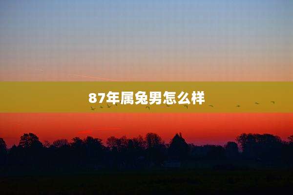 87年属兔男怎么样