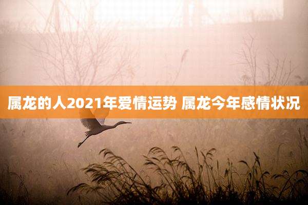 属龙的人2021年爱情运势 属龙今年感情状况