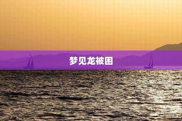 梦见龙被困