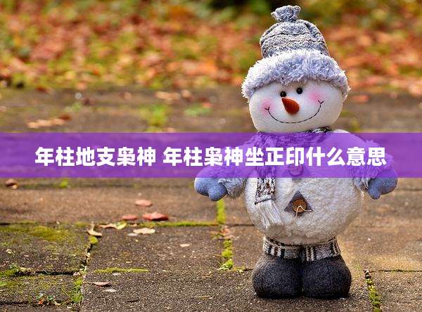 年柱地支枭神 年柱枭神坐正印什么意思