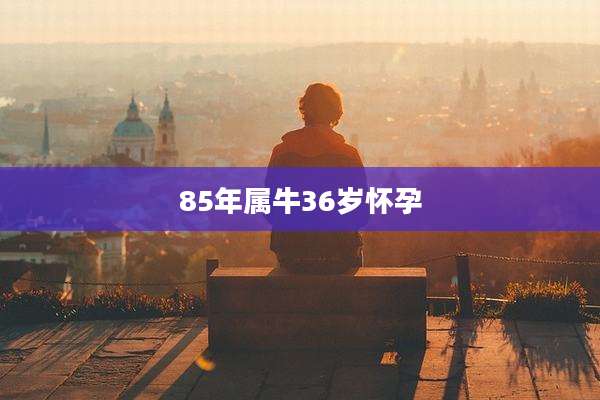 85年属牛36岁怀孕