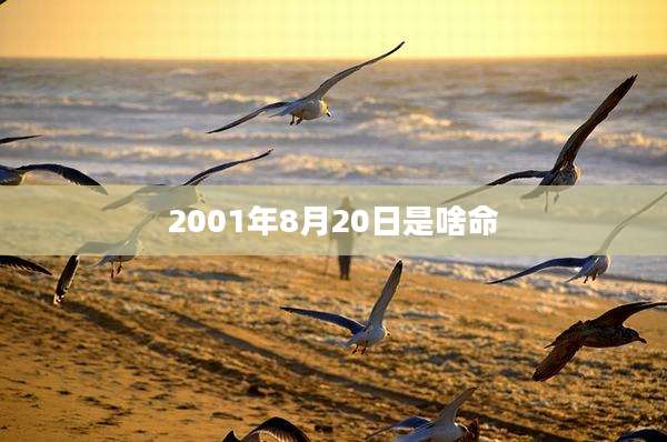 2001年8月20日是啥命