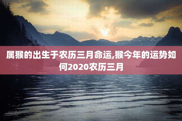 属猴的出生于农历三月命运,猴今年的运势如何2020农历三月