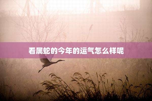 看属蛇的今年的运气怎么样呢