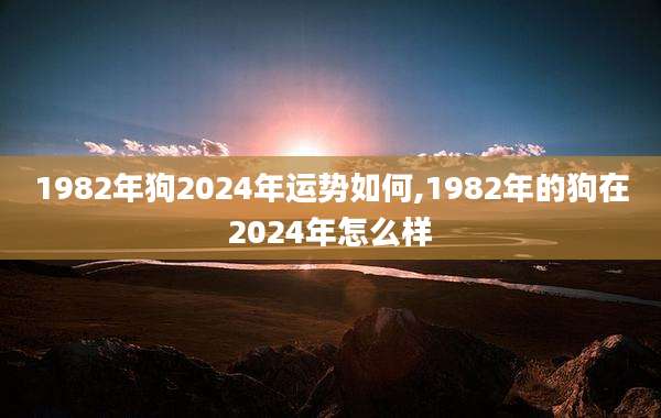 1982年狗2024年运势如何,1982年的狗在2024年怎么样
