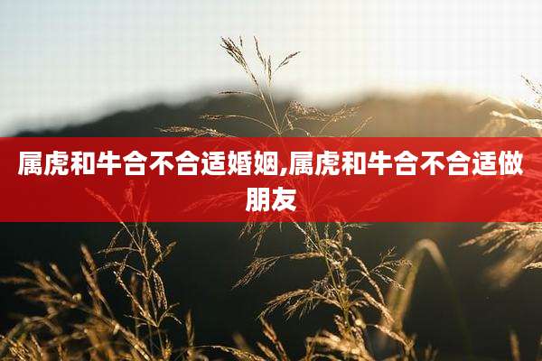 属虎和牛合不合适婚姻,属虎和牛合不合适做朋友