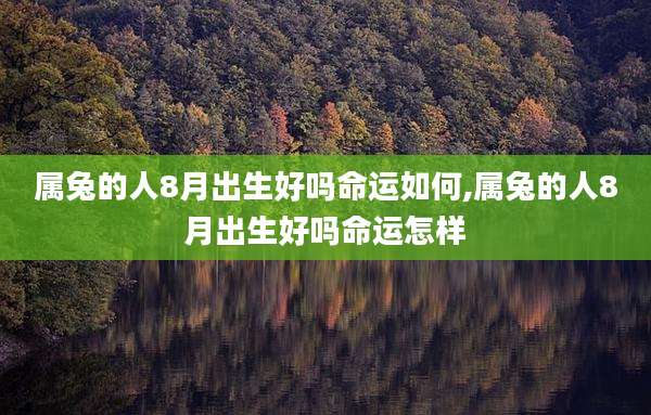 属兔的人8月出生好吗命运如何,属兔的人8月出生好吗命运怎样