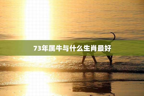 73年属牛与什么生肖最好