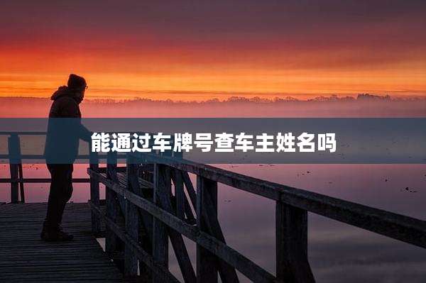 能通过车牌号查车主姓名吗