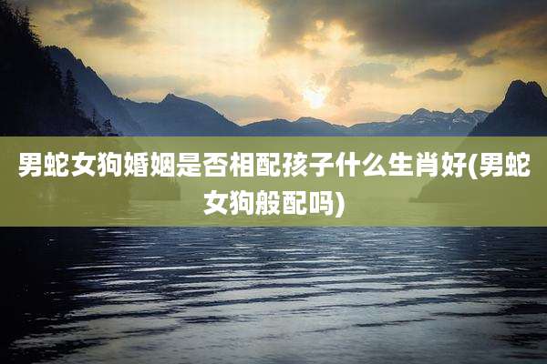 男蛇女狗婚姻是否相配孩子什么生肖好(男蛇女狗般配吗)