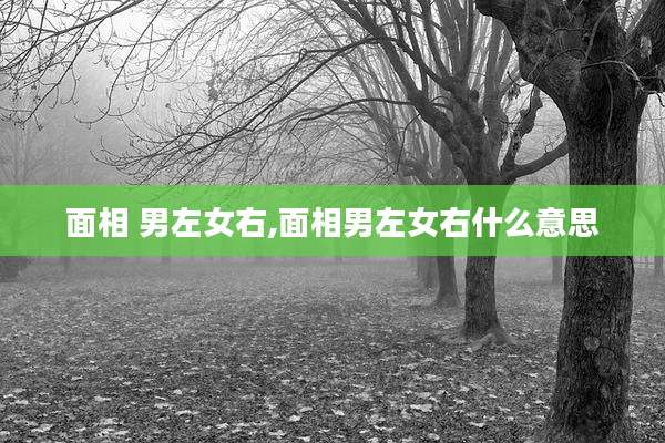 面相 男左女右,面相男左女右什么意思