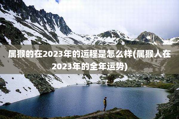 属猴的在2023年的运程是怎么样(属猴人在2023年的全年运势)