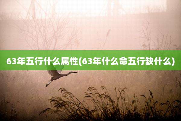 63年五行什么属性(63年什么命五行缺什么)
