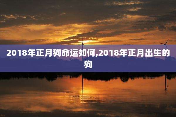 2018年正月狗命运如何,2018年正月出生的狗