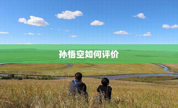 孙悟空如何评价