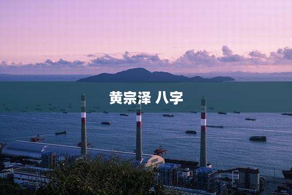 黄宗泽 八字