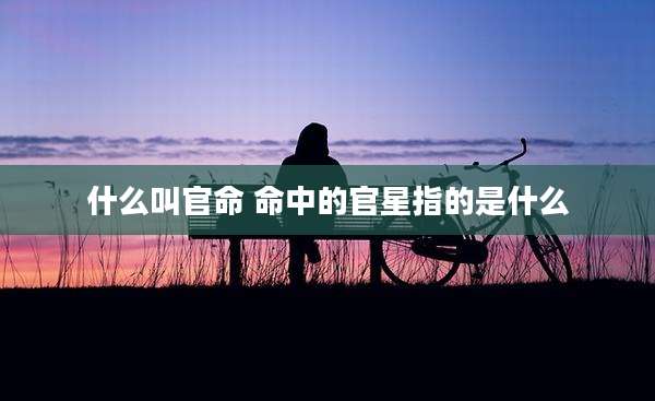 什么叫官命 命中的官星指的是什么