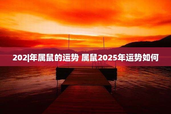 202|年属鼠的运势 属鼠2025年运势如何