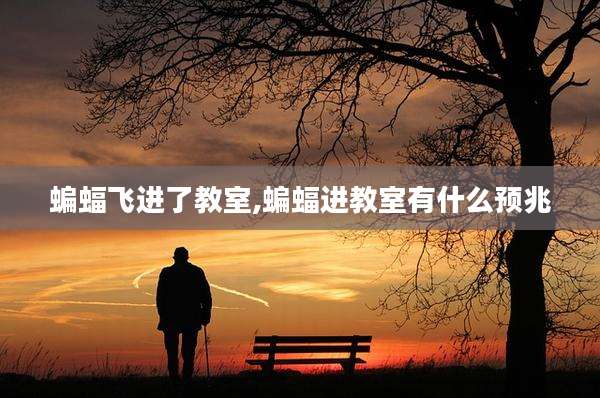 蝙蝠飞进了教室,蝙蝠进教室有什么预兆