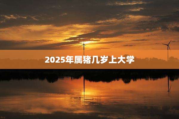 2025年属猪几岁上大学