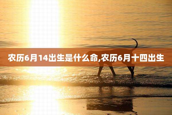 农历6月14出生是什么命,农历6月十四出生