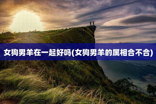 女狗男羊在一起好吗(女狗男羊的属相合不合)