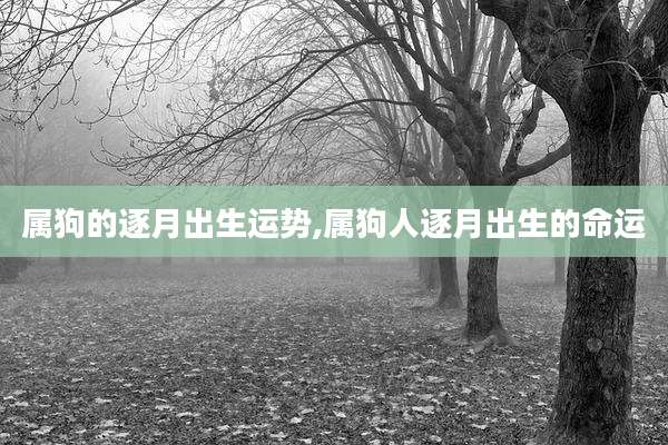 属狗的逐月出生运势,属狗人逐月出生的命运