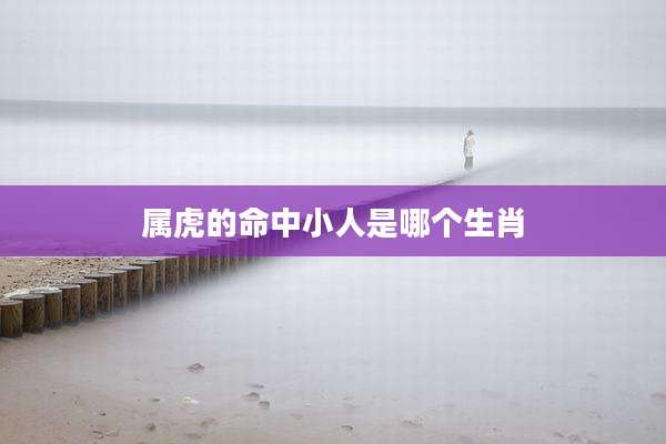属虎的命中小人是哪个生肖
