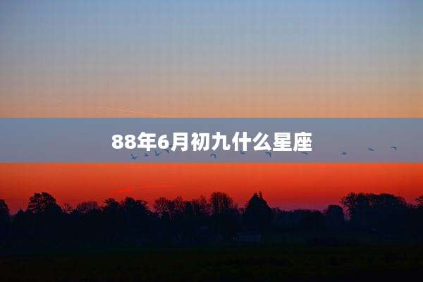88年6月初九什么星座