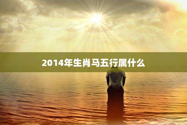 2014年生肖马五行属什么