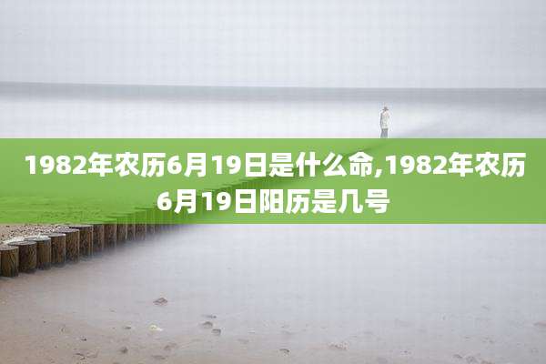 1982年农历6月19日是什么命,1982年农历6月19日阳历是几号