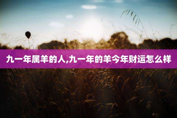 九一年属羊的人,九一年的羊今年财运怎么样