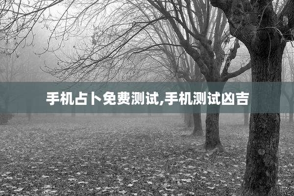 手机占卜免费测试,手机测试凶吉