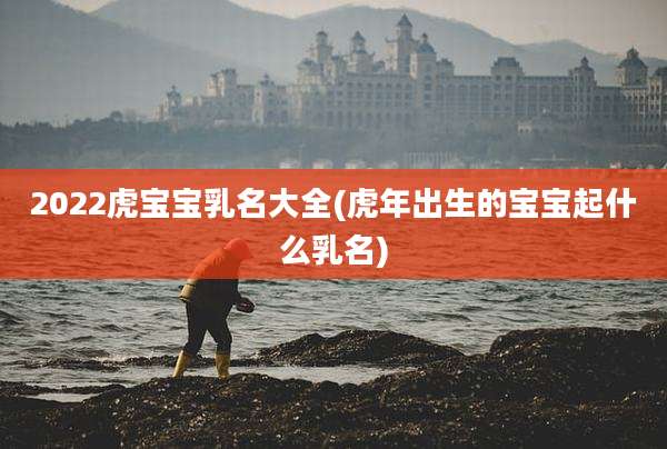 2022虎宝宝乳名大全(虎年出生的宝宝起什么乳名)