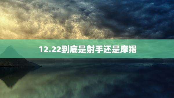 12.22到底是射手还是摩羯