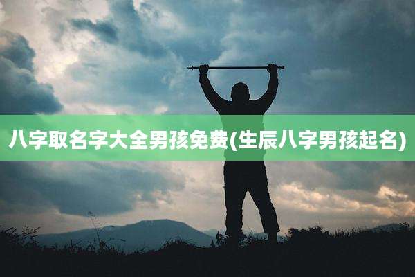 八字取名字大全男孩免费(生辰八字男孩起名)