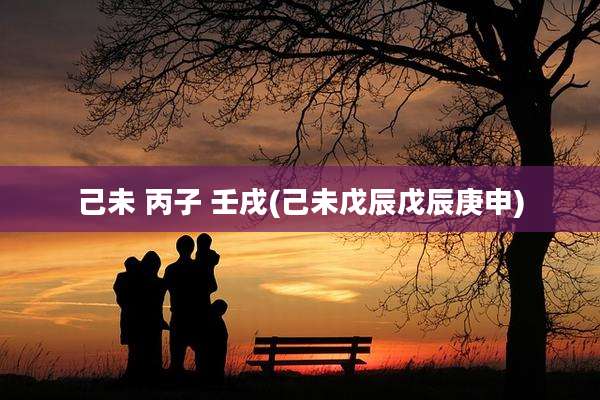 己未 丙子 壬戌(己未戊辰戊辰庚申)