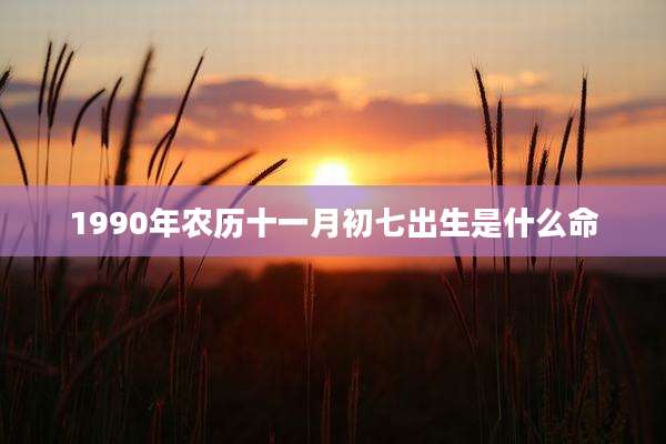 1990年农历十一月初七出生是什么命