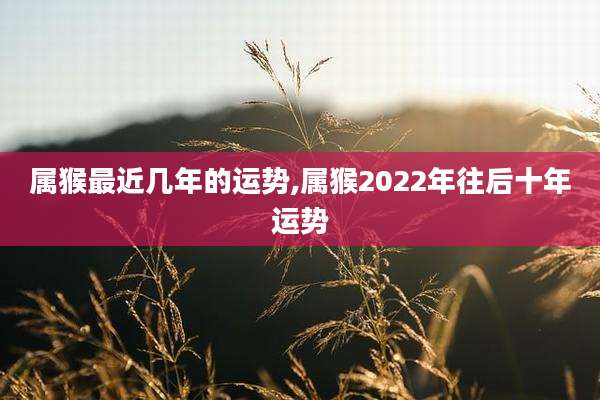 属猴最近几年的运势,属猴2022年往后十年运势